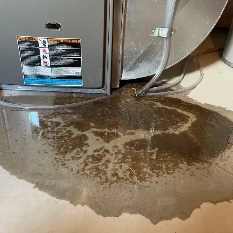 Appliance Leak Cleanup in Spring Valley, IL